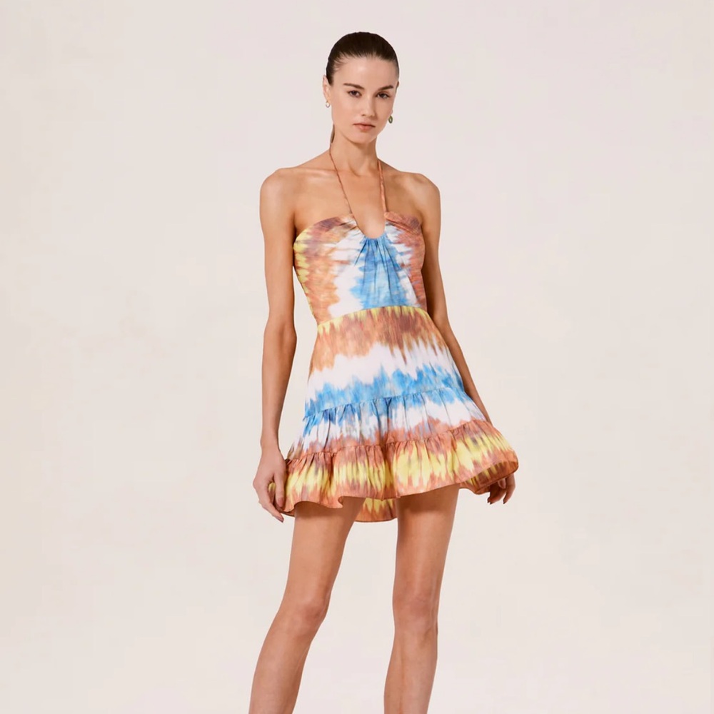 ALEXIS Naim Mini Dress